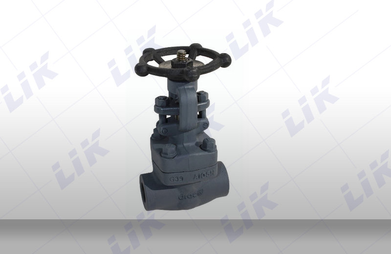 �M(j��n)�ں����䓽�ֹ�y